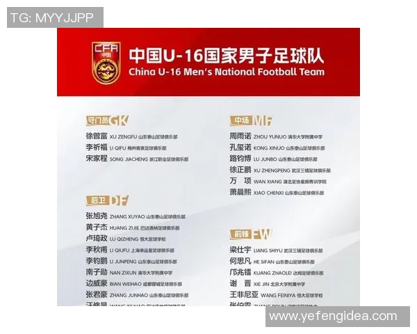 中国足球18大球星阵容解析 深度剖析每位球员在国足的角色与贡献
